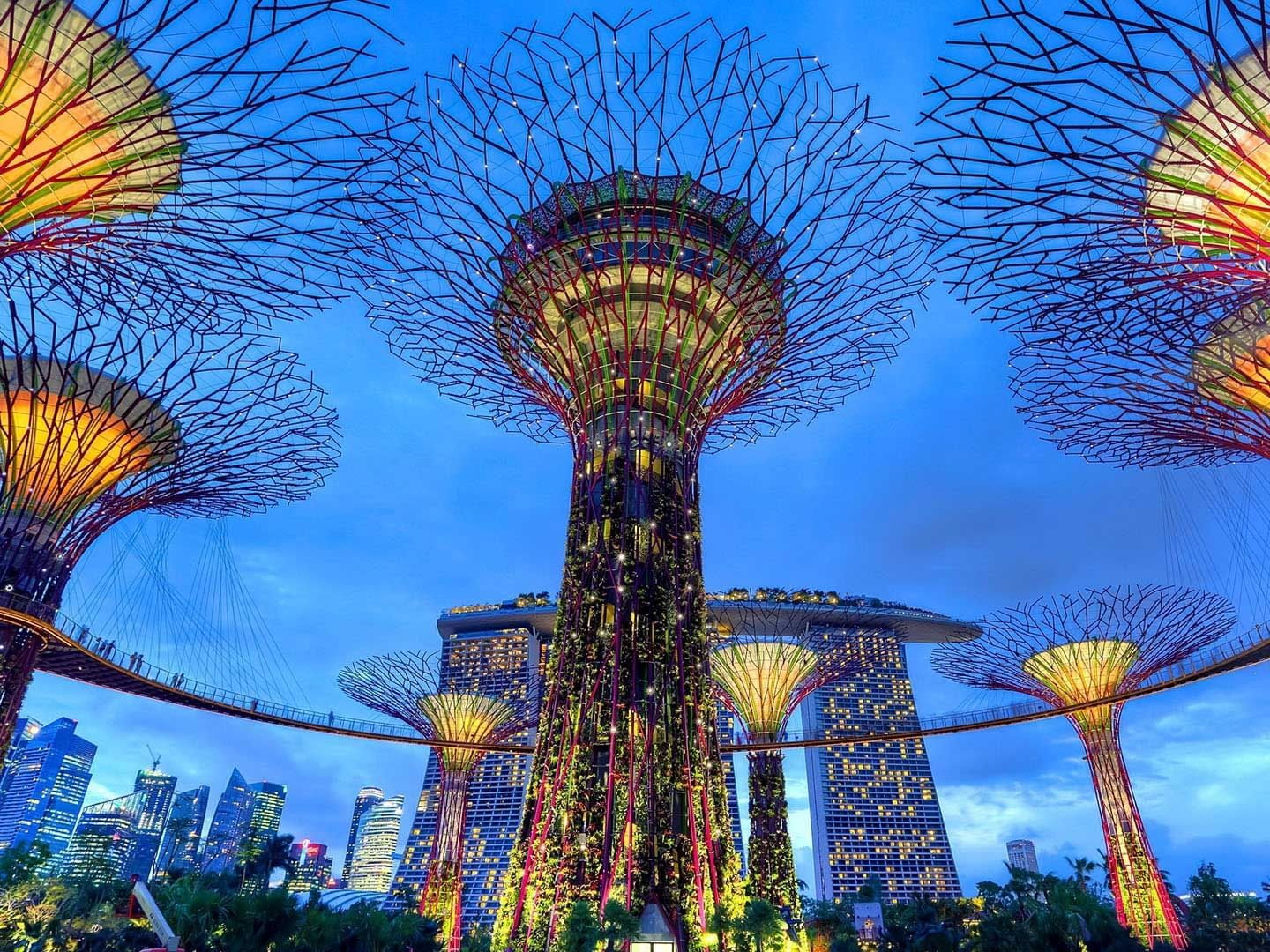 City Tour with Guide (3 Hours) | SIC + Gardens by the Bay (New Flower Dome and Cloud Forest with Jurassic World: The Experience) and Marina Bay SkyPark (Non Peak) | SIC