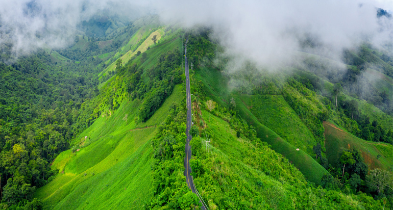 Thekkady