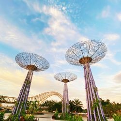 Singapore Skyline & Sentosa