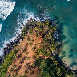 Sri Lanka Coastal Escape
